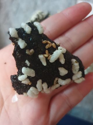 탱크돌콩님이 올린 리뷰 사진 1