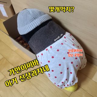 그므시라꼬님님이 올린 리뷰 사진 2