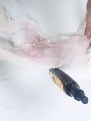또딩님이 올린 리뷰 사진 3