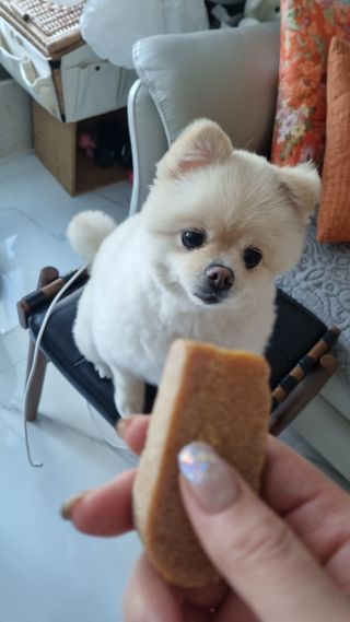 고이든님이 올린 리뷰 사진 3