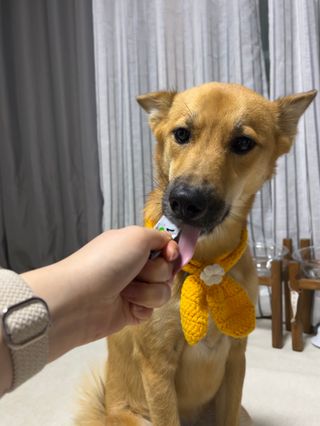 민짱님이 올린 리뷰 사진 1