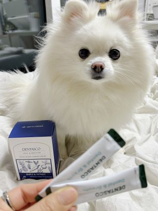 은지공주님이 올린 리뷰 사진 1