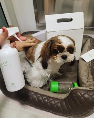 가루파랑님이 올린 리뷰 사진 3