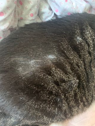 dole님이 올린 리뷰 사진 3