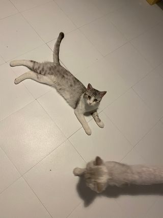 둠둠힝님이 올린 리뷰 사진 4