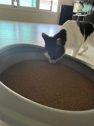 태윤님이 올린 리뷰 사진 3