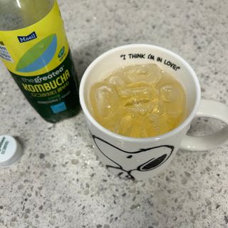 더그레잇티 콤부차 [매일유업] 더그레잇티 44kcal 콤부차 300ml *12개입 (오리지널 6개+베리리치 6개) — 5점을 준 리뷰어가 2023년 8월 올린 사용 사진