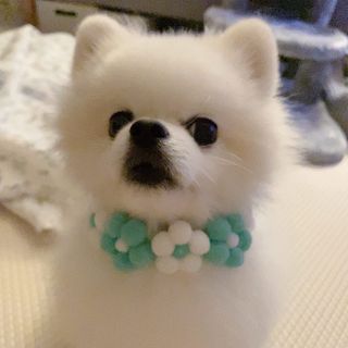 백설님이 올린 리뷰 사진 1