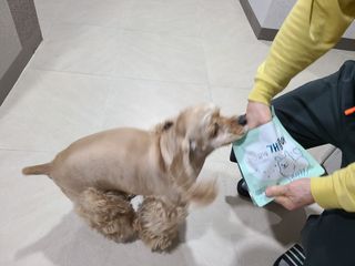 쏘짱님이 올린 리뷰 사진 1