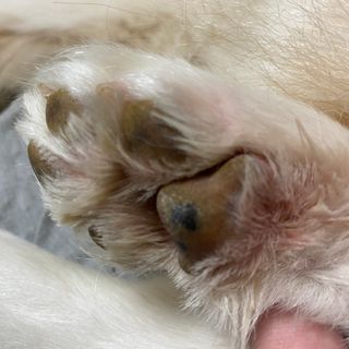밍님이 올린 리뷰 사진 4