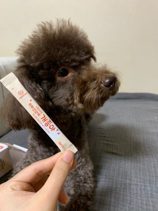 My Pet Care 모발과 모질 피부건강에 개좋아 — 4점을 준 리뷰어가 2020년 12월 올린 사용 사진