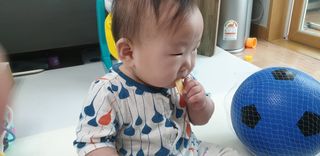 아비삭과일칩 5종 /딸기,사과,배,귤,무화과 5종 — 5점을 준 리뷰어가 2021년 6월 올린 사용 사진