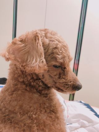 비키바라님이 올린 리뷰 사진 1