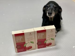 자연에온 가득담은 몽모랑시 타트체리 콜라겐 젤리스틱 — 5점을 준 리뷰어가 2021년 1월 올린 사용 사진