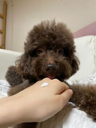 콩지님이 올린 리뷰 사진 3