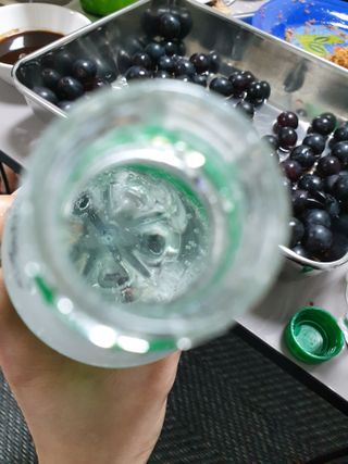 몽베스트 Montbest with Sparkling water Lime20병 — 5점을 준 리뷰어가 2021년 10월 올린 사용 사진