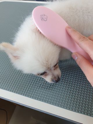태훈맘님이 올린 리뷰 사진 2
