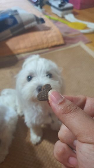 공팔리터님이 올린 리뷰 사진 1