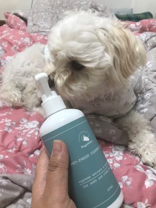 쭈또맘님이 올린 리뷰 사진 1