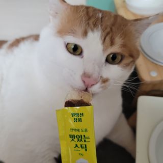 쓔리님이 올린 리뷰 사진 3