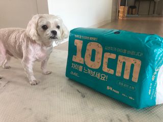 콩이님이 올린 리뷰 사진 1