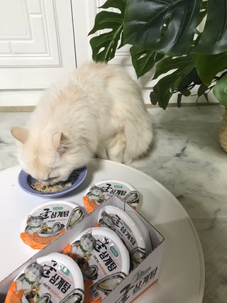 fively님이 올린 리뷰 사진 3