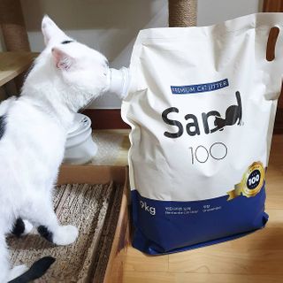 귀욤뽀짝센스쟁이님이 올린 리뷰 사진 2
