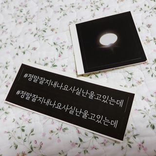 가을봉숙 정말잘지내나요사실난울고있는데 — 3.5점을 준 리뷰어가 2022년 6월 올린 사용 사진