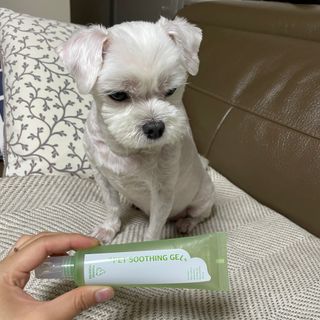 Mini님이 올린 리뷰 사진 4