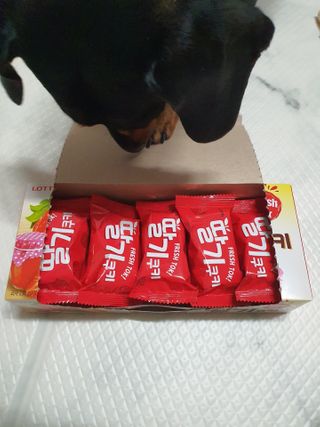 히이잇님이 올린 리뷰 사진 2