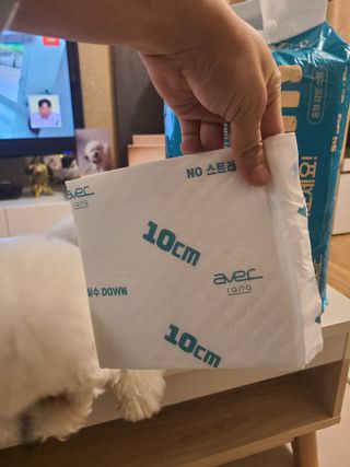 아베크 펫 와이드 프리미엄 중형 애견 강아지 배변 패드 54매 1팩 45g — 5점을 준 리뷰어가 2021년 7월 올린 사용 사진