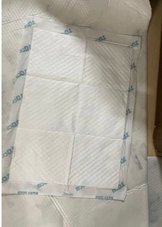 아베크 펫 와이드 프리미엄 중형 애견 강아지 배변 패드 54매 1팩 45g — 5점을 준 리뷰어가 2021년 7월 올린 사용 사진