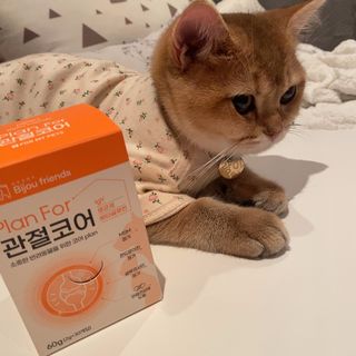 백설님이 올린 리뷰 사진 1