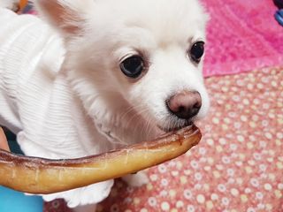 바나나님이 올린 리뷰 사진 2