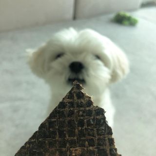 torius님이 올린 리뷰 사진 1