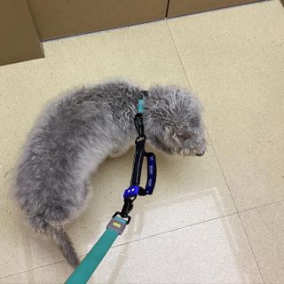 뽀히님이 올린 리뷰 사진 4