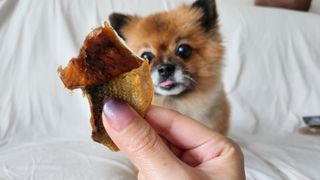 꿀냥이님이 올린 리뷰 사진 4