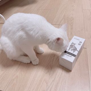 논논님이 올린 리뷰 사진 2