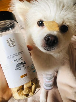Lily님이 올린 리뷰 사진 1