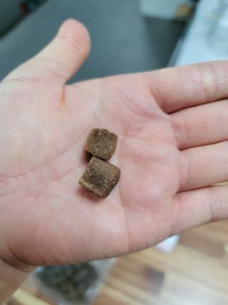 My Pet Care 천연단백질 관절건강에 개좋아 — 5점을 준 리뷰어가 2021년 3월 올린 사용 사진