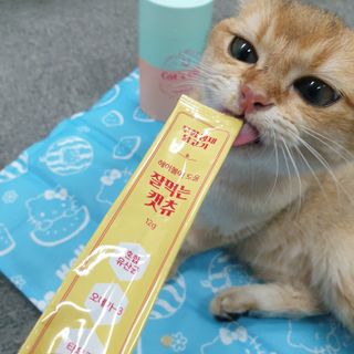 페페로니 잘 먹는 캣츄 - 무항생제 닭고기 12개 + 알래스카 연어 12개 — 5점을 준 리뷰어가 2021년 7월 올린 사용 사진