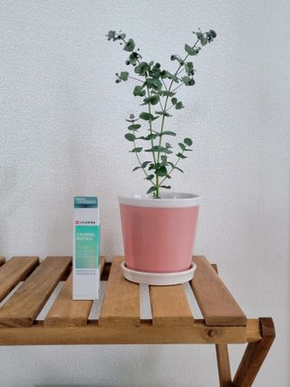 리더스코스메틱 카밍 바이오틱스 앰플 — 5점을 준 리뷰어가 2021년 4월 올린 사용 사진