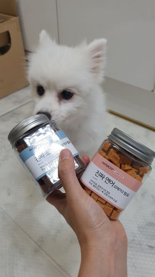 페페로니 진짜 오메가3 연어+소고기 180g+180g — 5점을 준 리뷰어가 2021년 7월 올린 사용 사진