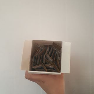 생활속미 이로운 효소균 15곡곡물발효효소 효소식품 — 5점을 준 리뷰어가 2021년 6월 올린 사용 사진
