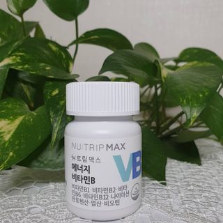 뉴트립맥스(NUTRIPMAX) 뉴트립맥스 에너지 비타민B 700mg 30정 1개월분 고함량 비타민 — 5점을 준 리뷰어가 2021년 7월 올린 사용 사진