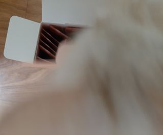 코코몰리 고양이 구강• 헤어볼 데일리 /신장• 요로 데일리 — 5점을 준 리뷰어가 2021년 3월 올린 사용 사진