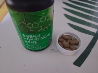 슬림플래닛 녹차카테킨 500mg 애프터밀 — 5점을 준 리뷰어가 2021년 3월 올린 사용 사진