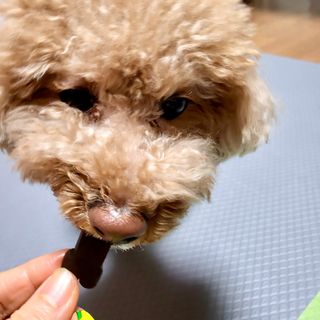 펭뽀꾸님이 올린 리뷰 사진 1