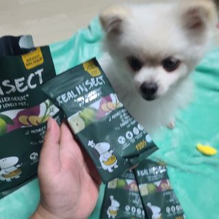 [푸디웜] 라포그  리얼인섹트 웨이트밸런스 저알러지 강아지 사료  1.2KG — 5점을 준 리뷰어가 2022년 7월 올린 사용 사진