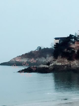 0.8L 마케팅팀 - — 5점을 준 리뷰어가 2021년 5월 올린 사용 사진